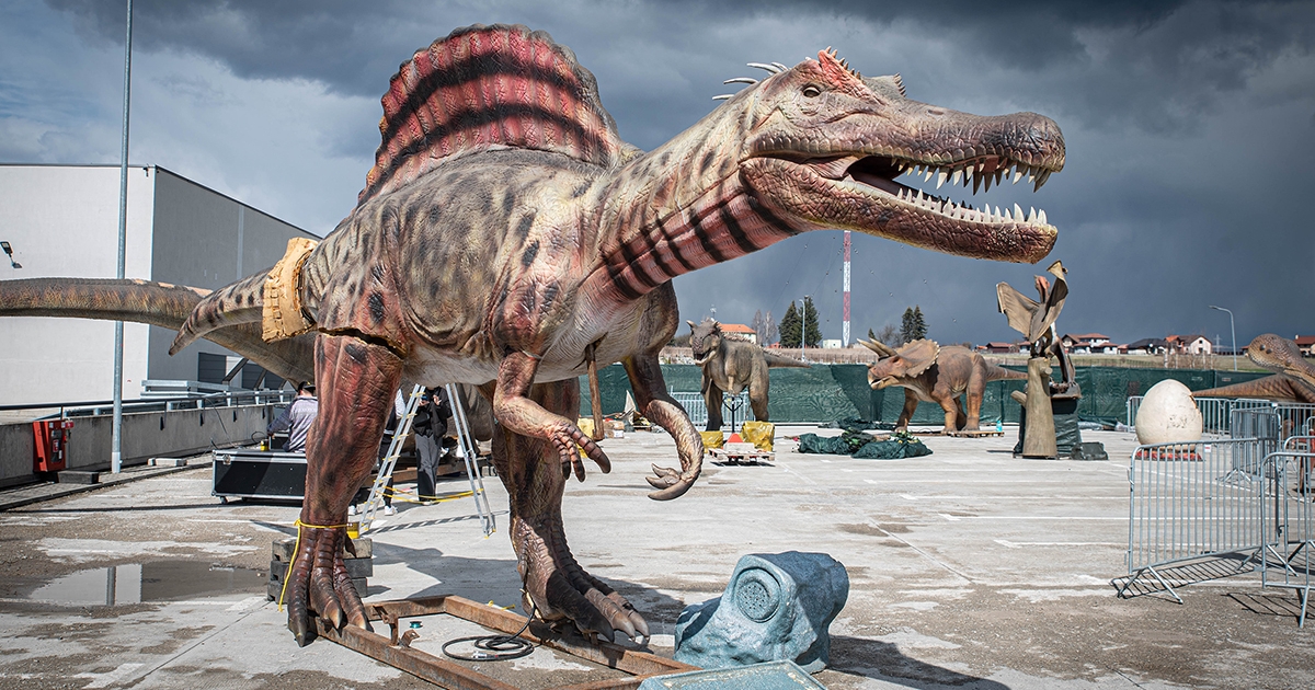 Ekkortól látogatható a csíkszeredai dinókiállítás, és ennyibe kerül